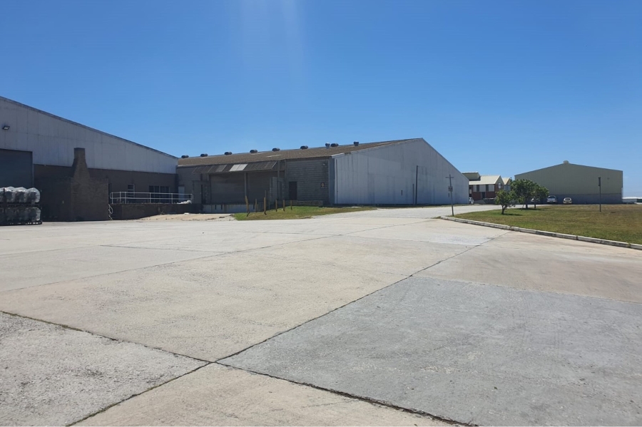 To Let commercial Property for Rent in Struandale Industrial Eastern Cape